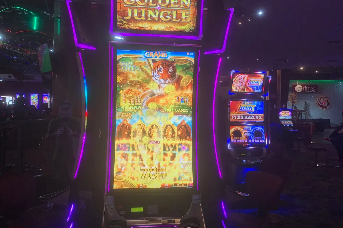 Hit frequency vs bonus frequency — two different numbers that beginners confuse